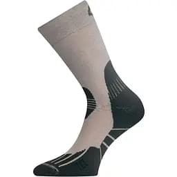 Носки Lasting TCL M Бежевый