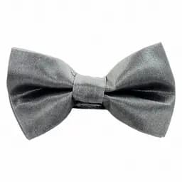 Краватка-метелик