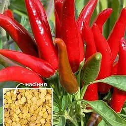 Перець гострий "Карабас Барабас" ТМ "Весна"  2г (49428)