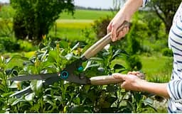 Комплект ножиць Gardena NatureCut для живоплоту (12300-30.000.00) - мініатюра 4