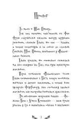 Відьми Шик-Пшика. Ляльковий переполох. Книга 2 - Шибель Паундер - мініатюра 2
