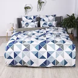 Комплект постільної білизни ТЕП Soft dreams Абстрактна експресія полуторний (2-03857_29596)