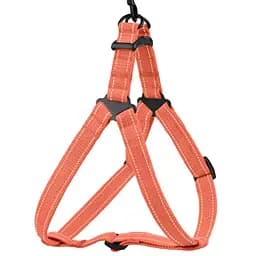 Шлея для собак Barksi Cotton Стандарт Рефлекторна М 45-56х2 см помаранчева