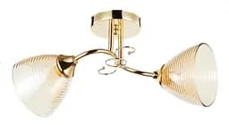 Люстра декоративная INTEREES V 6123-2 FG