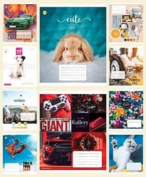 Зошити учнівські 18 аркушів клітинка Тверда ТЕ21214 18КВ2 МІКС, 20 шт. в упаковці