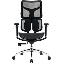 Офисное кресло Sihoo Doro S100 Mesh Black (S100-M301)