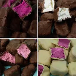 Сублимированное мороженое в шоколаде, 4 вкуса