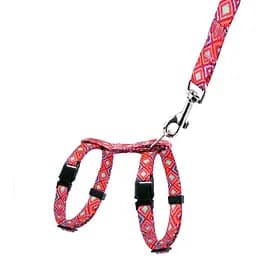 Шлея для котів та собак дрібних порід BronzeDog Urban Гуцульська з повідцем XS 18-27 см червона