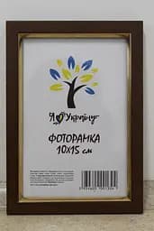 Фоторамка 10х15, світло-коричнева із золотою вставкою, 1511-5120, Скло + Картон