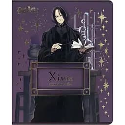 Набор тетрадей Kite Harry Potter Химия предметный 48 листов в клетку 10 шт. (HP25-240-6)