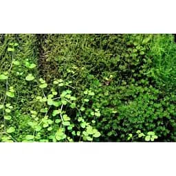 Тропічна бавовна Repti-Zoo Plant Cotton L 44х44см (YZM002) для моху і рослин у тераріум - мініатюра 10