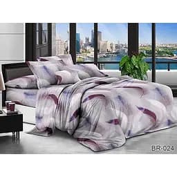 Комплект постільної білизни TAG Tekstil 2-спальний 000247780 (BR-024)