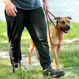 Повідець-зашморг для собак Barksi Active (довжина 183 см діаметр 12 мм) шахмати чорно-червоний - мініатюра 7