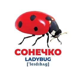Набір розвиваючих карток Геній з пелюшок "Комахи" Ранок 10107199, 17 карток - мініатюра 3