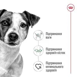 Сухий корм Royal Canin Mini Adult для дорослих собак, з м'ясом птиці, 0,8 кг - мініатюра 2