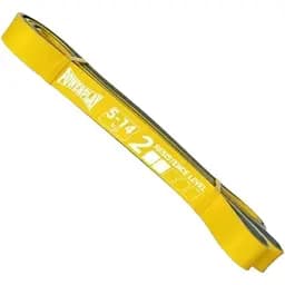 Гумка для фітнесу і кроссфіту PowerPlay 4116 Double Colors Жовто/Сіра (5-14 кг) (PP_4116_Yellow_(5-14 kg))