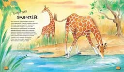 Дивовижі тваринного світу - мініатюра 3