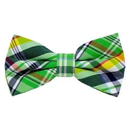 Краватка-метелик Клітинка