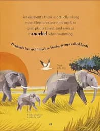 The Bedtime Book of Animals - мініатюра 3
