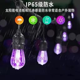 Вулична гірлянда з ретро лампами LED RGB Edison 10 шт, 220V, 10 метрів з перехідником - мініатюра 6