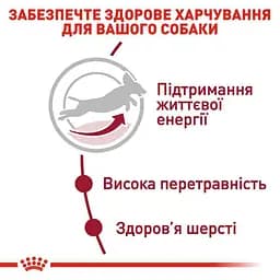 Сухий корм для старіючих собак Royal Canin Medium Adult 7+, 4 кг (3005040) - мініатюра 5