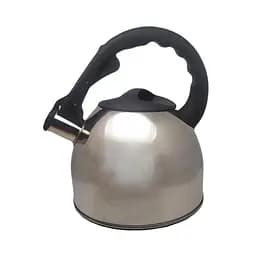 Чайник зі свистком Aureti 2.5 л сріблястий (AU-602-1)