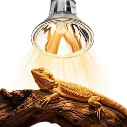 Галогенна лампа UVA Terrario Nadara Pro 50W E27 для тераріуму - мініатюра 5