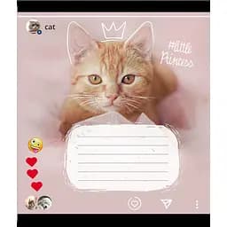 Зошит учнівський "Кішка" Leader 024-550351K-2 в клітинку, 24 аркуші