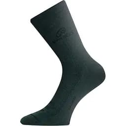 Шкарпетки Lasting WLS 620 Green S (1054-002.003.1356)