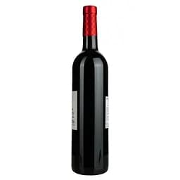 Вино Paul Chapelier Reserve De Foncegrives Rouge AOP Fronton, червоне, сухе, 0.75 л - мініатюра 2