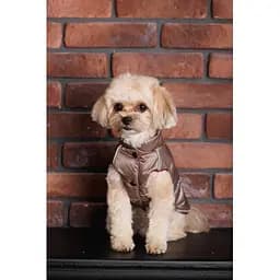 Жилет Pet Fashion Hardy для собак розмір M2 - мініатюра 9