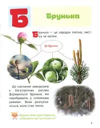 Класна абетка. Рослини - мініатюра 4