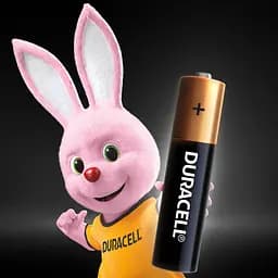 Лужні батарейки мізинчикові Duracell Basic 1.5 V АAA LR03/MN2400, 12 шт. - мініатюра 3