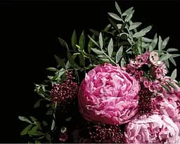 Набір для розпису по номерах Букет рожевих півоній, Strateg, на чорному фоні, 40x50 см, AH1053