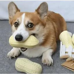 Игрушка для собак Арахис резиновая с пищалкой 12 см (35507)