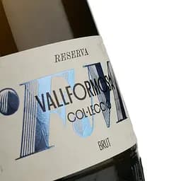 Вино ігристе Vallformosa Reserva Col Leccio Brut біле брют 0.75 л - мініатюра 3