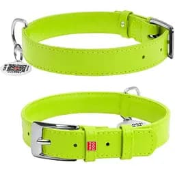 Нашийник для собак Waudog Glamour шкіряний з QR паспортом, без прикрас, M, Ш 25 мм, Дов 38-49 см (4820152560933)