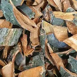 100 г алтей лекарственный цвет/трава - свежий урожай