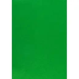 Набор фетра Santi мягкий 21 х 30 см 10 листов светло-зеленый (740454)