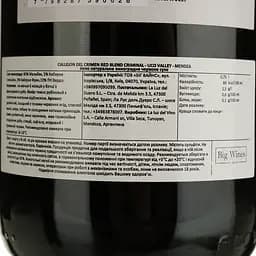 Вино La Luz Callejon Del Crimen Red Blend Criminal Uco Valley Mendoza червоне сухе 0.75 л - мініатюра 4