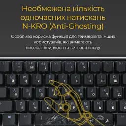 Клавіатура Ducky One 3 Mini Cherry MX Red RGB Black (DKON2161ST-RUAPXCLAWSC1) UA [125715] - мініатюра 8