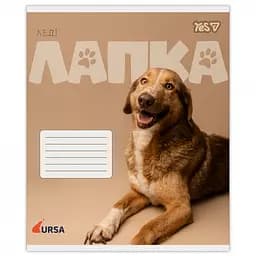 Набір зошитів Yes Ursa 18 аркушів у клітинку 25 шт. (768954) - мініатюра 3