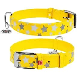 Нашийник для собак Waudog Glamour шкіряний з QR паспортом, візерунок Зірочка, що світиться/світловідбивний, S, Ш 20 мм, Дов 30-39 см (4823089301303)