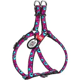 Шлея для котів та дрібних порід собак Waudog Nylon з QR паспортом, малюнок "Око монстра", пластиковий фастекс, XS