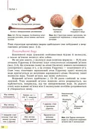 Біологія. Підручник. 9 клас - мініатюра 9