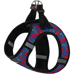 Шлея для собак Bronzedog Sport Vest Вишни L 26х20х3 см синяя