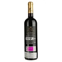 Вино La Luz Pagos De Valcerracin Minimo DO Ribera Del Duero червоне сухе 0.75 л - мініатюра 2