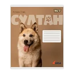 Упаковка зошитів Yes Ursa А5/24 кл. 20 шт. (768956) - мініатюра 5