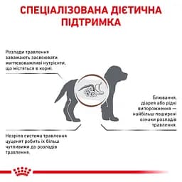 Сухий дієтичний корм для кошенят Royal Canin Gastrointestinal Kitten при порушенні травлення, 2 кг (1228020) - мініатюра 6