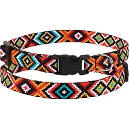 Ошейник для собак BronzeDog Tribal гуцульский оранж XS